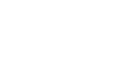 Electrolux Logo